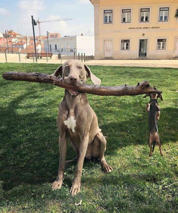 30 Photos That Look Normal At First Glance But Become Hilarious When You Catch The Small Details
