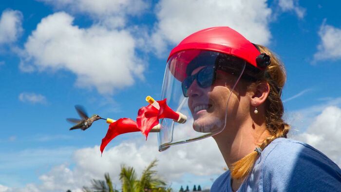 Casco para alimentar colibríes