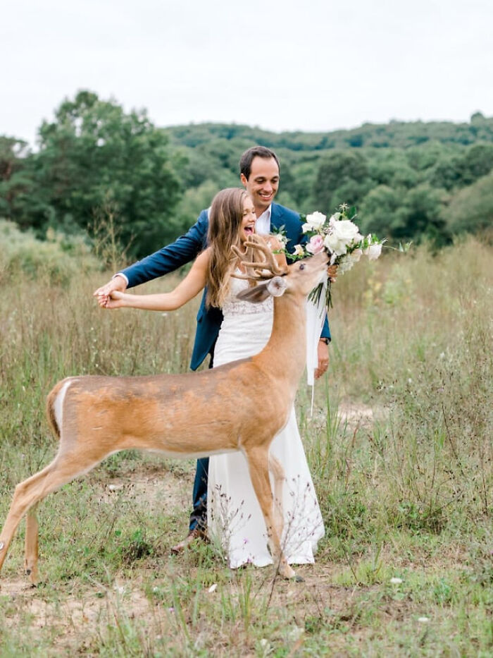 Pareja feliz en campo abierto con ciervo curioso oliendo ramo de flores, animales adorables en entorno natural alegre.