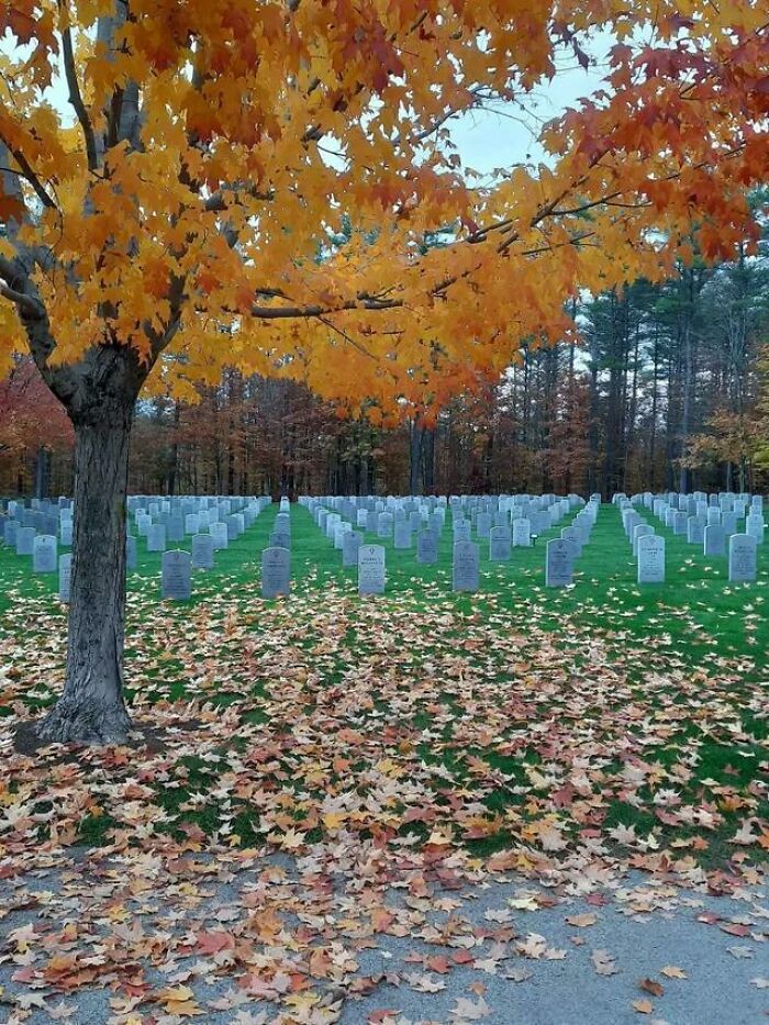 Foto del cementerio que parece 2 imágenes distintas unidas