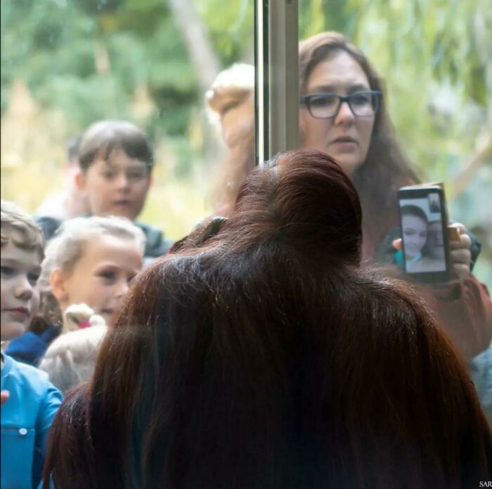 En el zoo