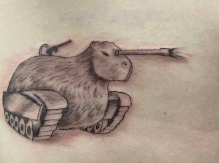 Capibara tanque