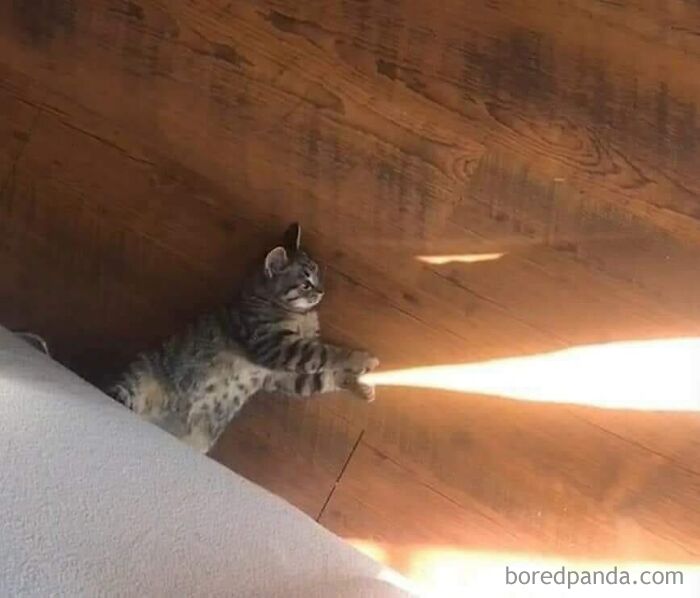 40 Posts To Welcome You Into ‘The Weird Side Of The Internet’
