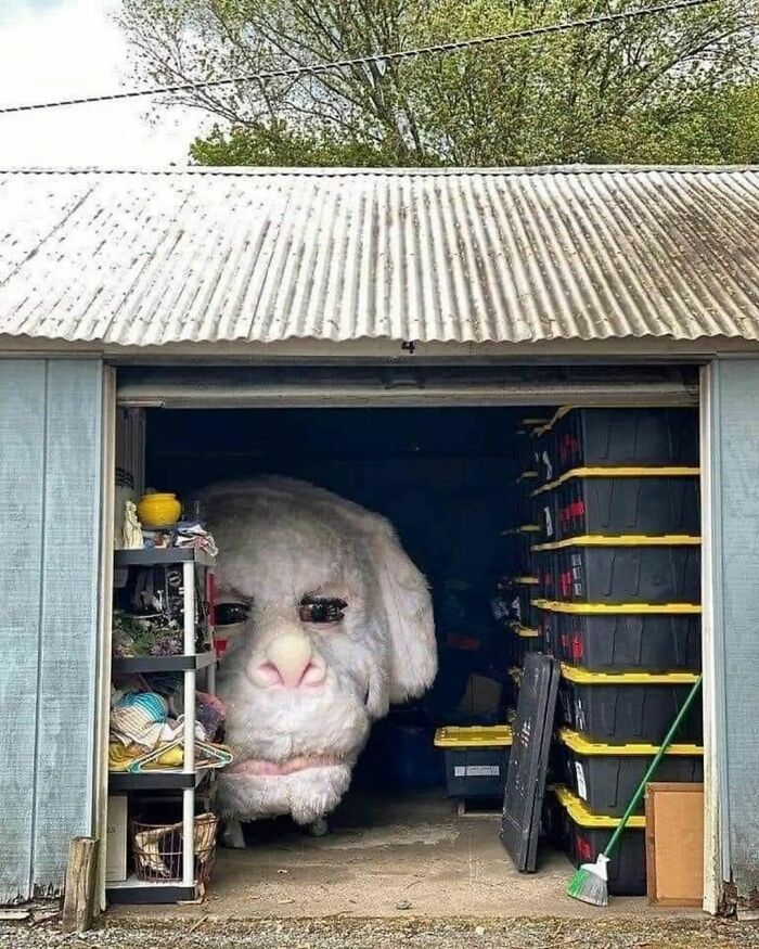 Hola