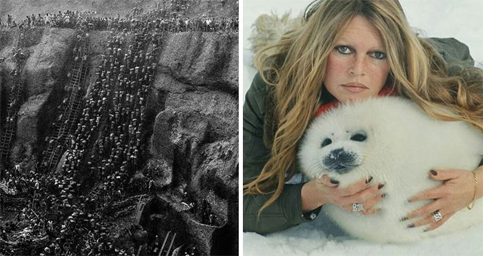 30 Imágenes raramente vistas en los libros de historia