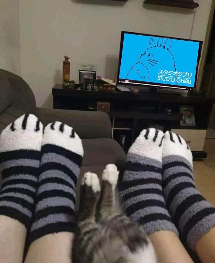 30 Funny Memes To Send To Your Studio Ghibli-Obsessed Friends