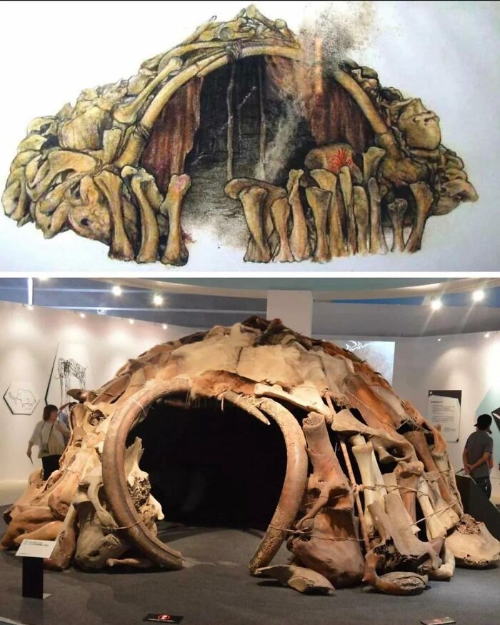 En Mezhyrich, Ucrania, en 1965 se llevaron a cabo excavaciones arqueológicas, encontrándose 4 cabañas construidas con un total de 149 huesos de mamut