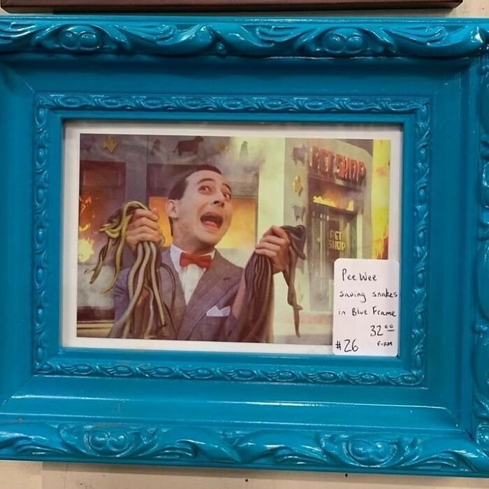 35 Times People Were ‘Lucky’ To Find These Gems While Thrifting That Were Too Bad Not To Share (New Pics)