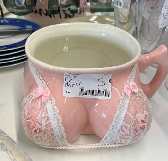 35 Times People Were ‘Lucky’ To Find These Gems While Thrifting That Were Too Bad Not To Share (New Pics)