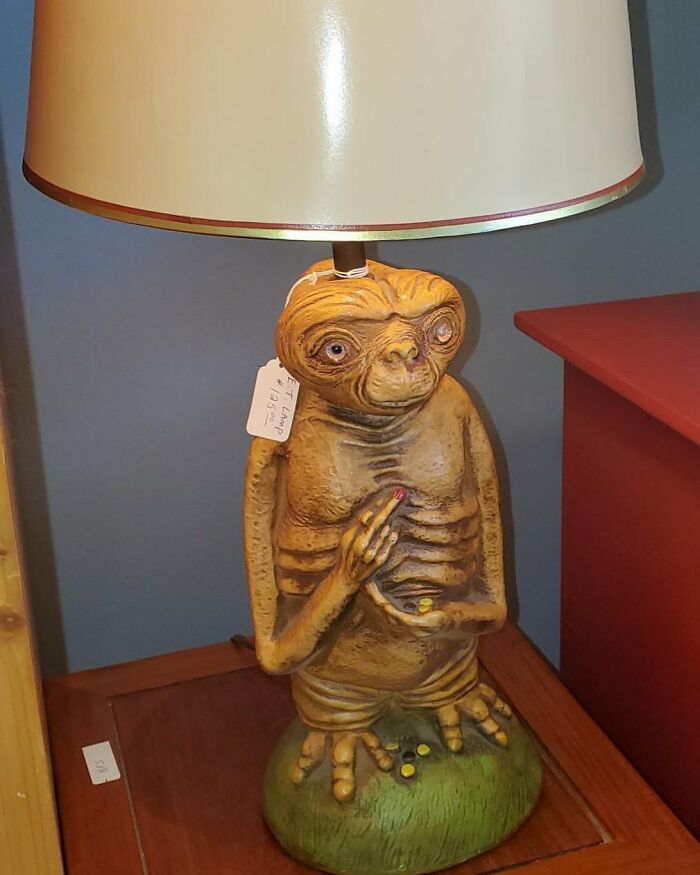 35 Times People Were ‘Lucky’ To Find These Gems While Thrifting That Were Too Bad Not To Share (New Pics)