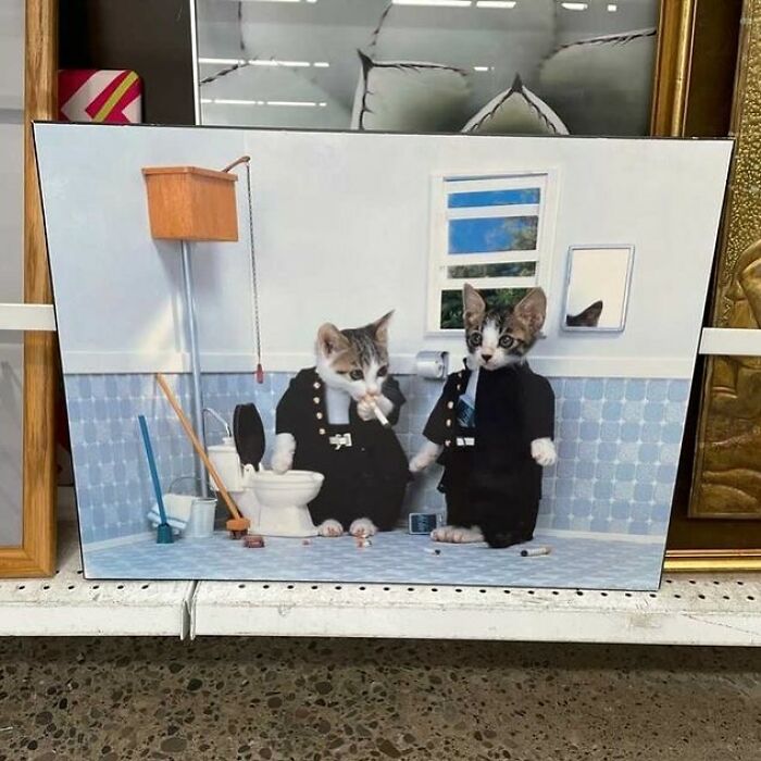 35 Times People Were ‘Lucky’ To Find These Gems While Thrifting That Were Too Bad Not To Share (New Pics)