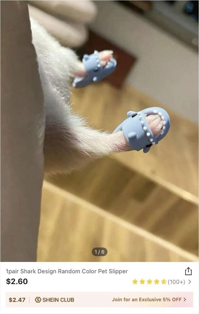 Mejor me compro 12 hamsters mientras tanto