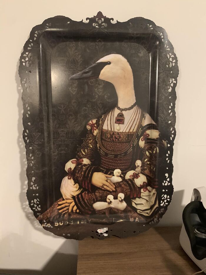 Nadie más en mi casa aprecia esta belleza