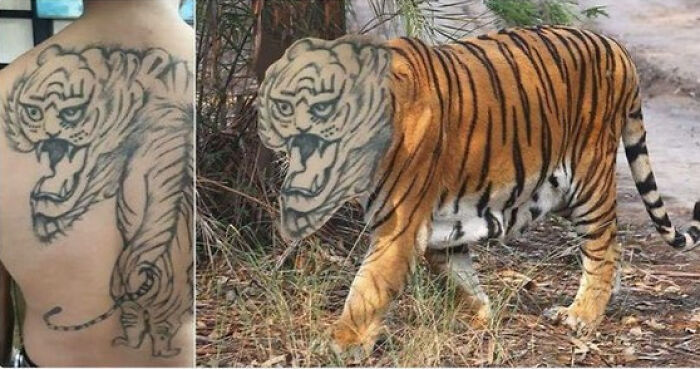 “Tattoo Fails”: 35 Times People Didn’t Even Realize How Much Their Tattoos Sucked