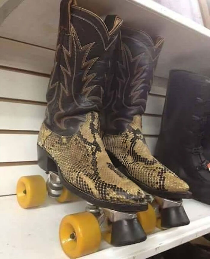 Ahora puedo patinar con mi rebaño de búfalos