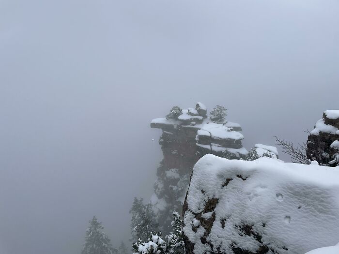 Vistas del Gran Cañón tras alquilar un coche y conducir 3 horas y media hasta aquí