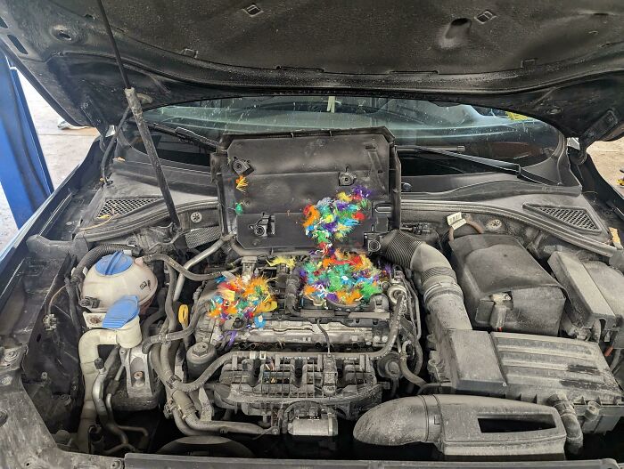 Parece que el compartimento del motor ha sido invadido por ratones gays