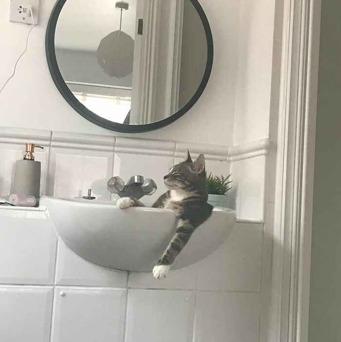 Cuando cree que no hay nadie en casa