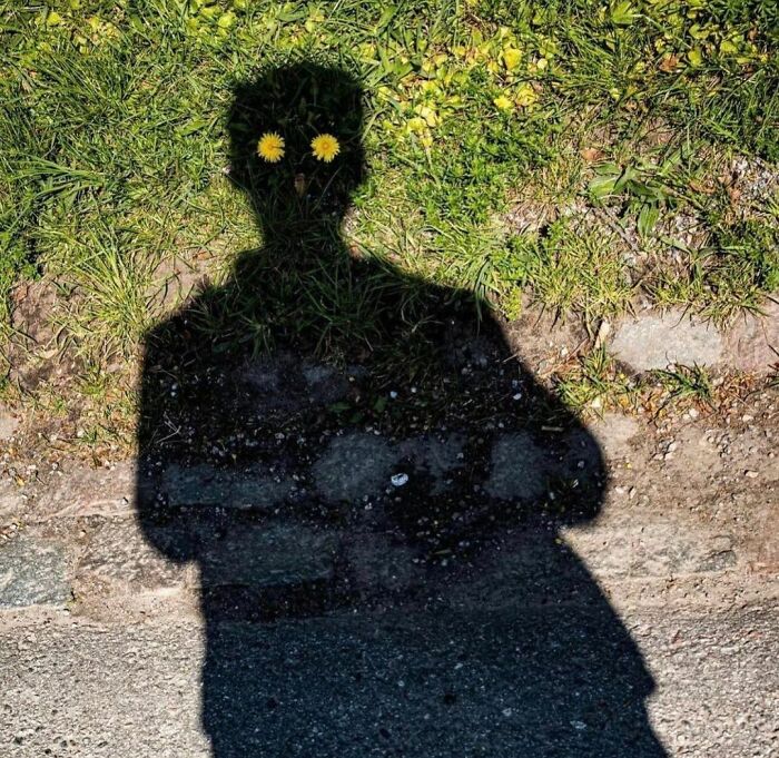 “Blursed”: 50 Images That Are Giving Both “Blessed” And “Cursed” Energy