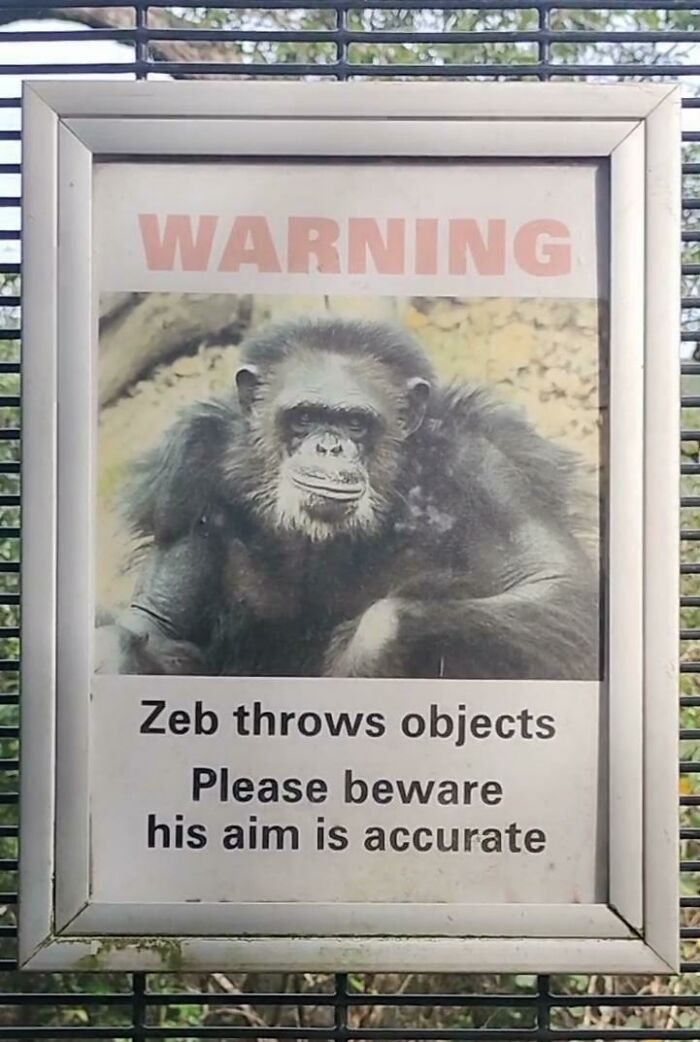 AVISO: Zeb lanza objetos. Por favor, cuidado, tiene buena puntería