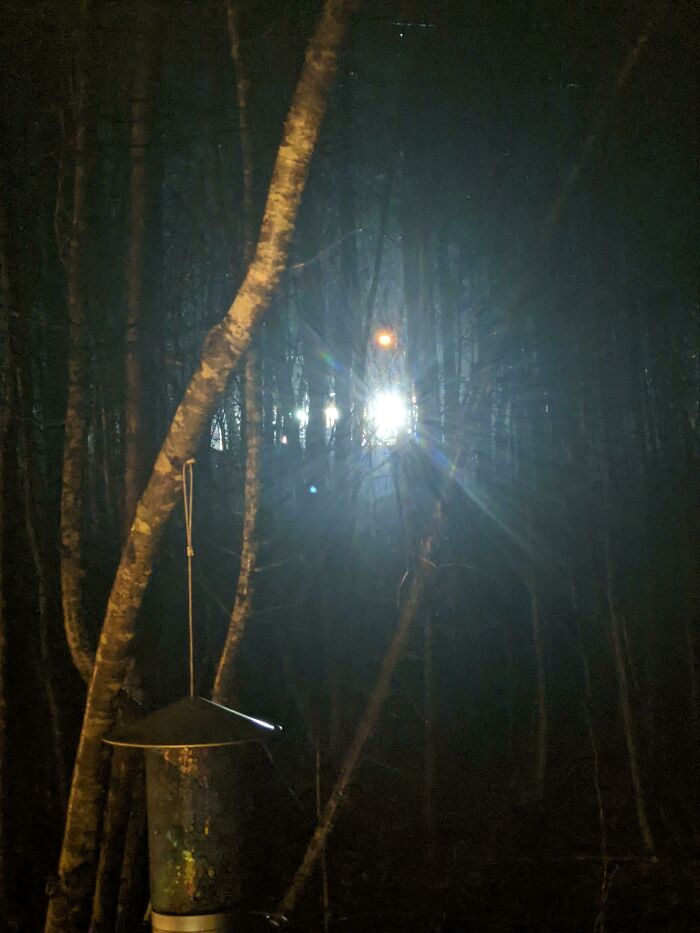 Mi esposa y yo ahorramos durante años para comprar una cabaña en el bosque. En menos de 2 años, alguien compró otra cabaña al otro lado de la carretera, para convertirla en una tienda de tabaco e iluminarla como las almenaras de Gondor