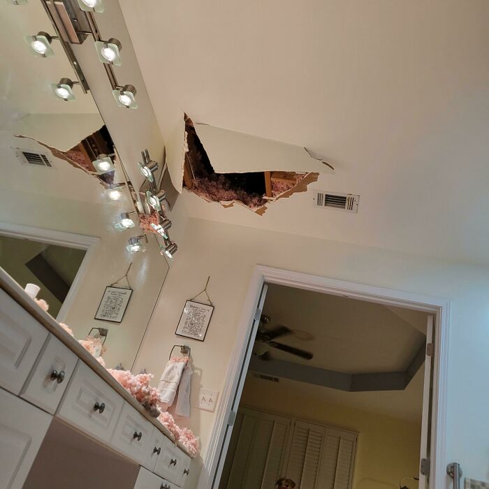 Me acabo de caer por ese agujero al cuarto de baño