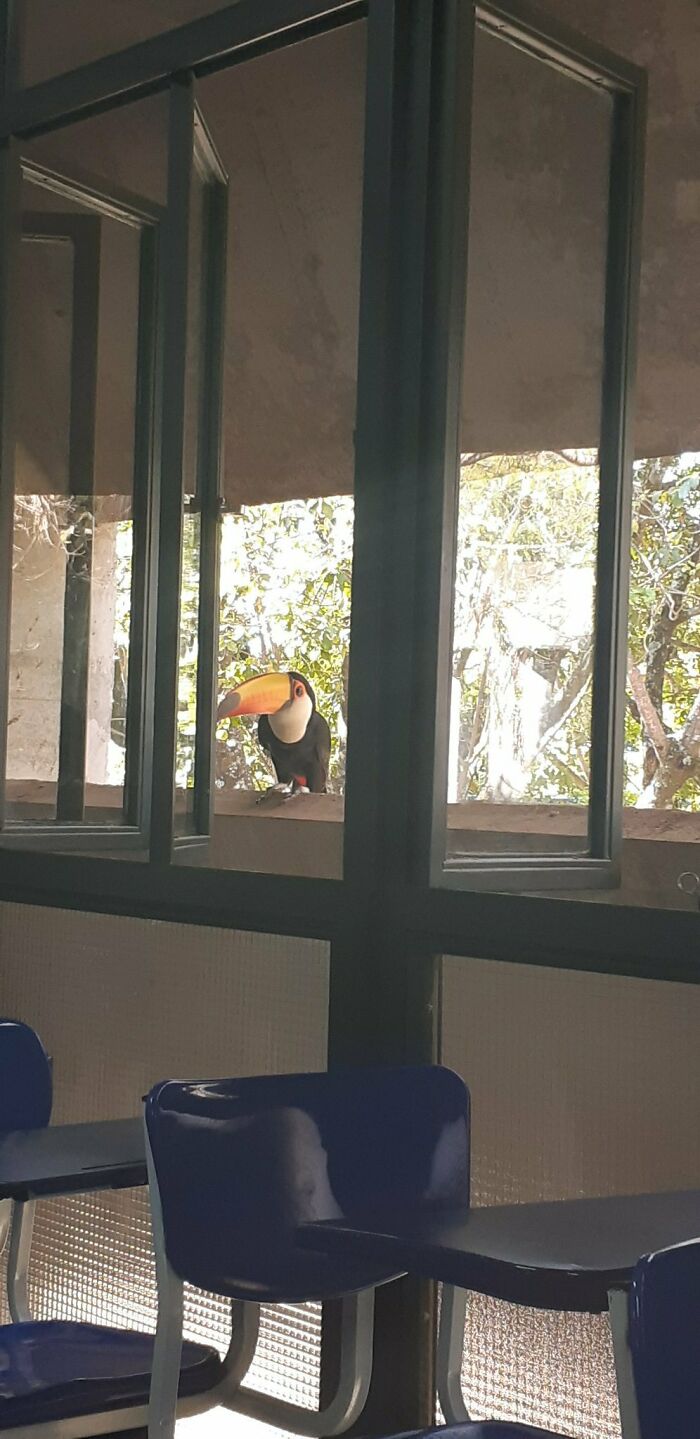 Un día cualquiera en una universidad brasileña