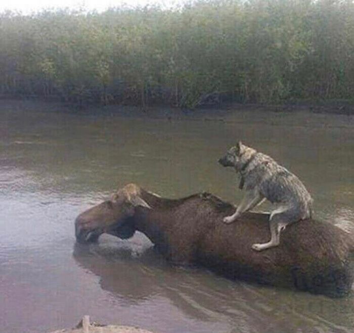 30 "Cursed Images" That Give Off An Uneasy Vibe, As Shared By This Instagram Page