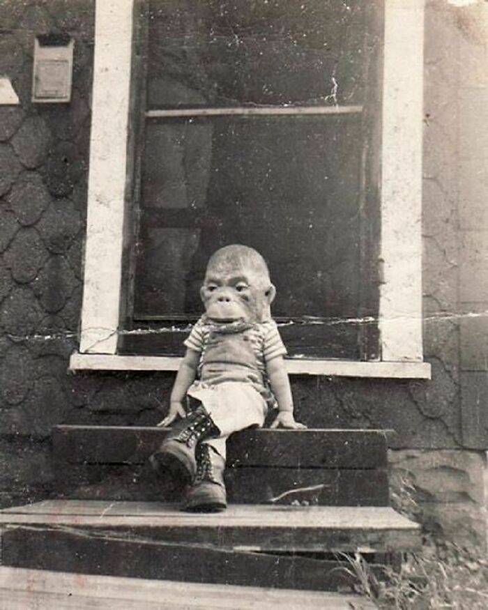 Este pequeño da miedo, años 50