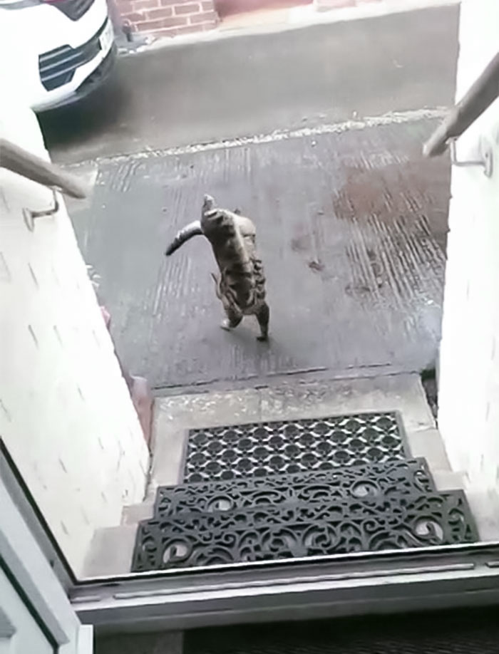 Le gusta caminar así