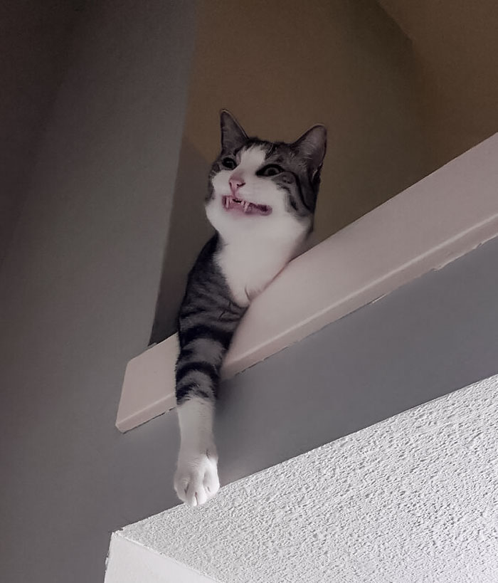 Da un poco de miedo