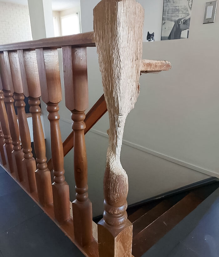 La obra de arte y el artista, tras 11 años