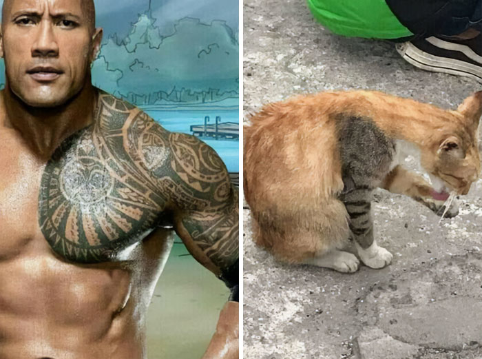 “Blursed”: 50 Images That Are Giving Both “Blessed” And “Cursed” Energy