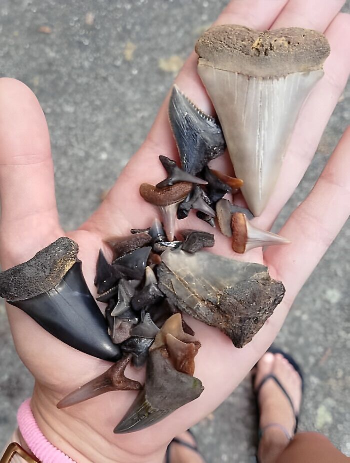 Fui a explorar tras pasar un huracán. Encontré esto