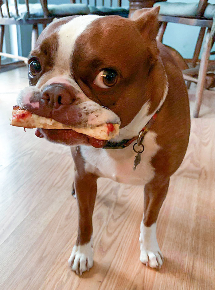 ¿Quién me ha robado el borde de la pizza del plato?