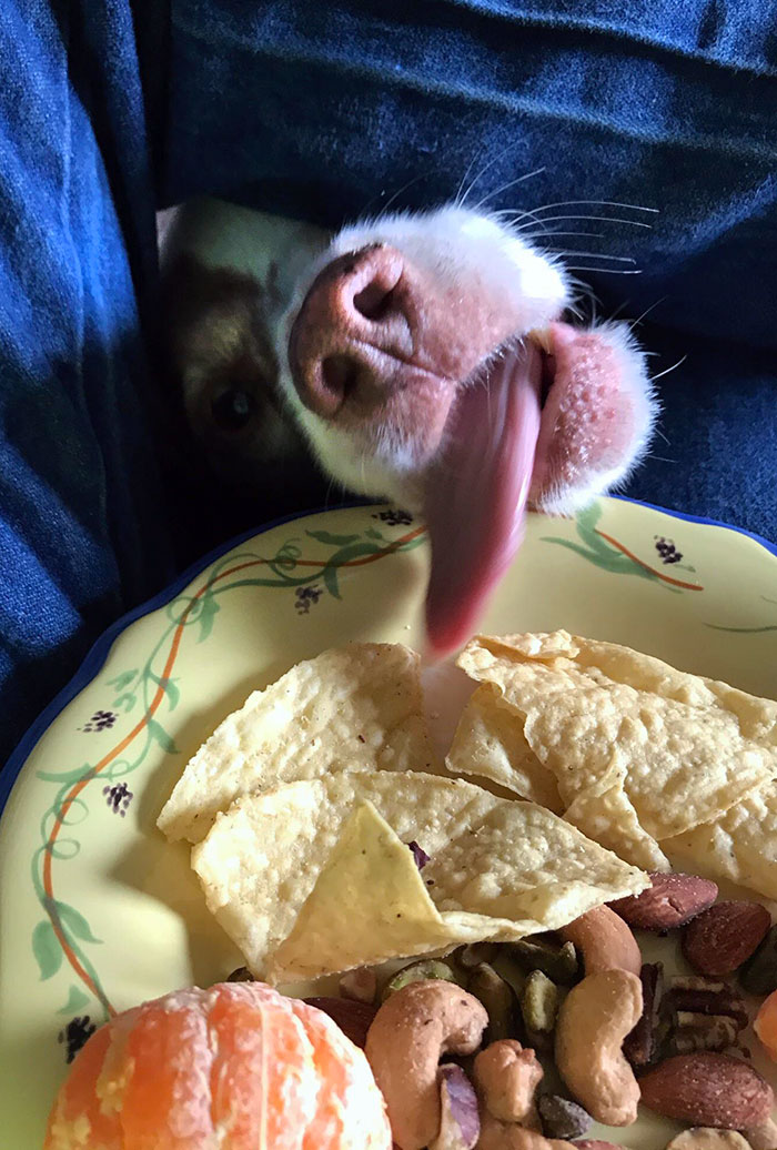 Mi padre dice que nunca puede comer nada en paz