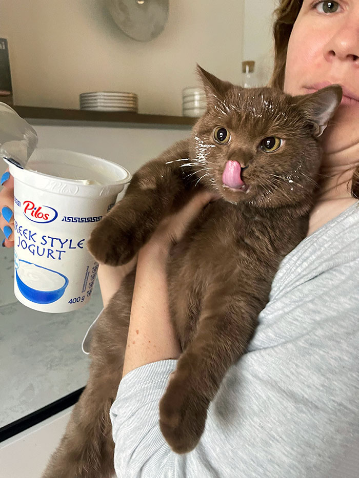 Cuando dejas tu yogur desatendido