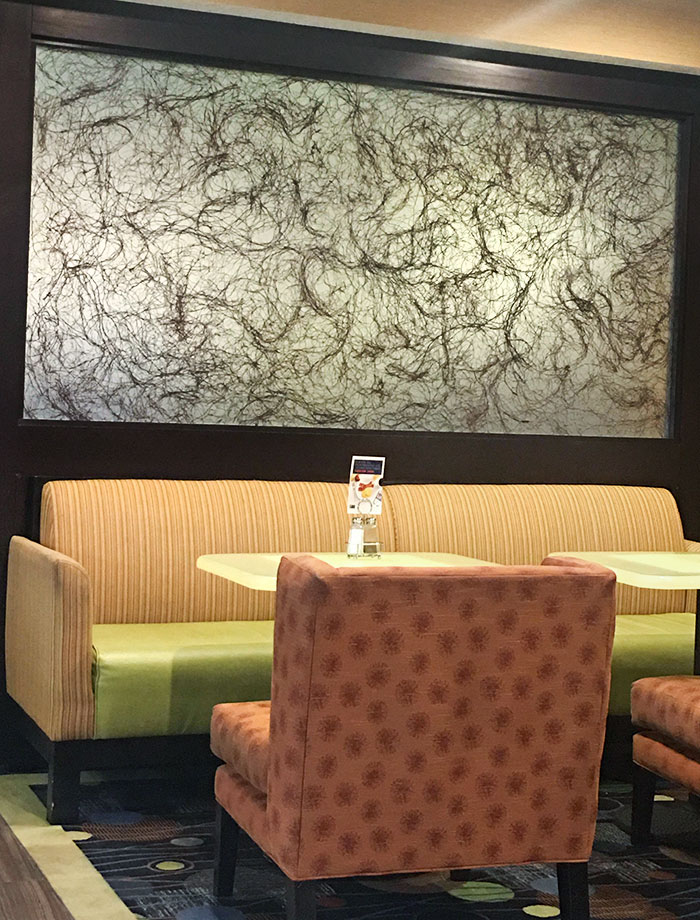 Cuadro en el lobby del horel que parece pelo púbico