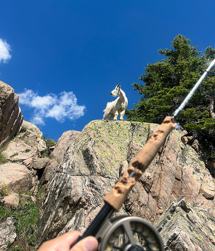 Escalé a más de 900 metros de altura para pescar en un lago alpino, para que una cabra montesa se comiera mi cebo