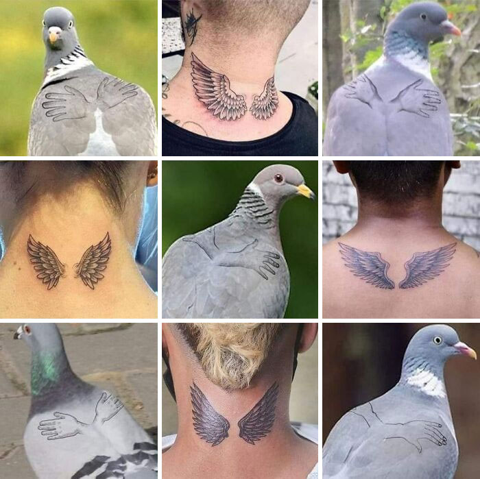 “Passing The Bounds Of What’s Usual”: 50 Unhinged Pics That Are As Confusing As They Are Amusing
