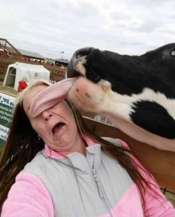 “Passing The Bounds Of What’s Usual”: 50 Unhinged Pics That Are As Confusing As They Are Amusing