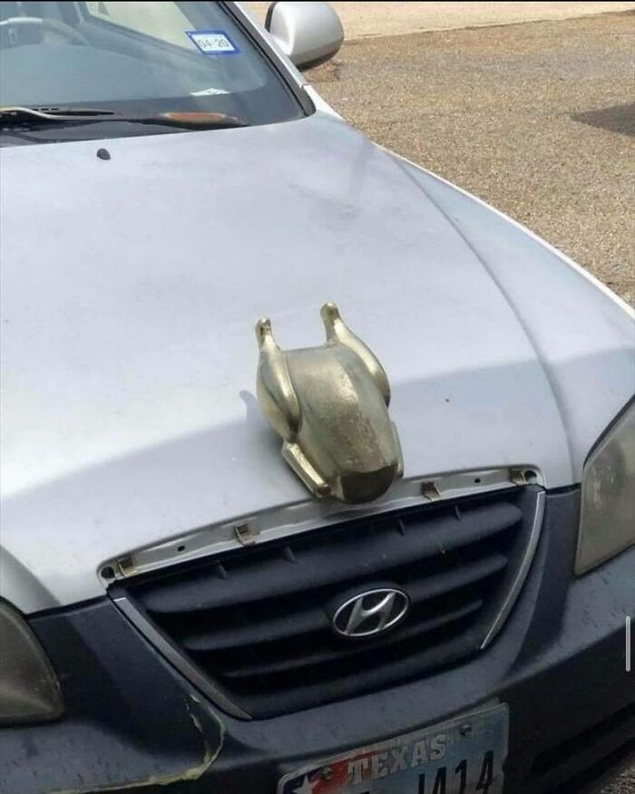 “Passing The Bounds Of What’s Usual”: 50 Unhinged Pics That Are As Confusing As They Are Amusing