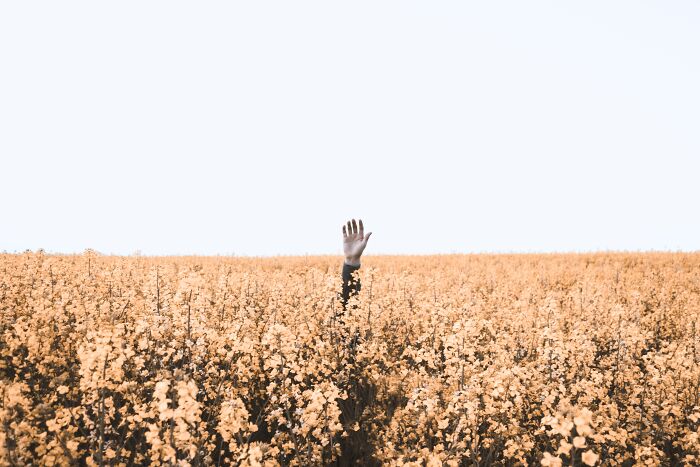 "¿Qué le pasó al tipo solitario de tu escuela?": 20 respuestas