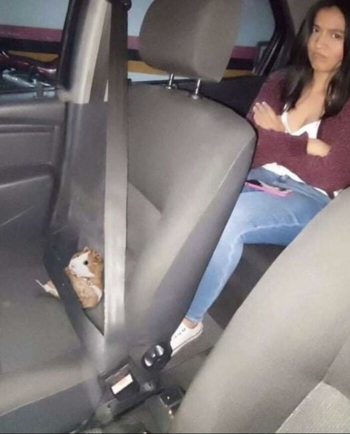 “Passing The Bounds Of What’s Usual”: 50 Unhinged Pics That Are As Confusing As They Are Amusing