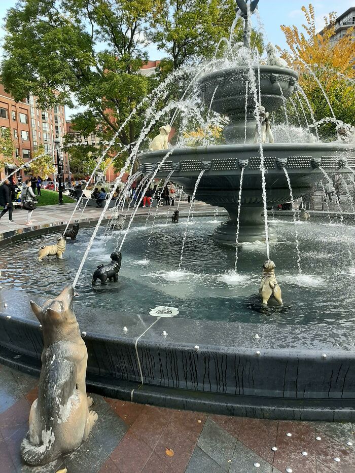 Fuente perruna