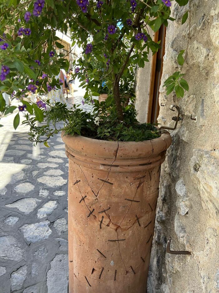 Maceta en Ravello, Italia