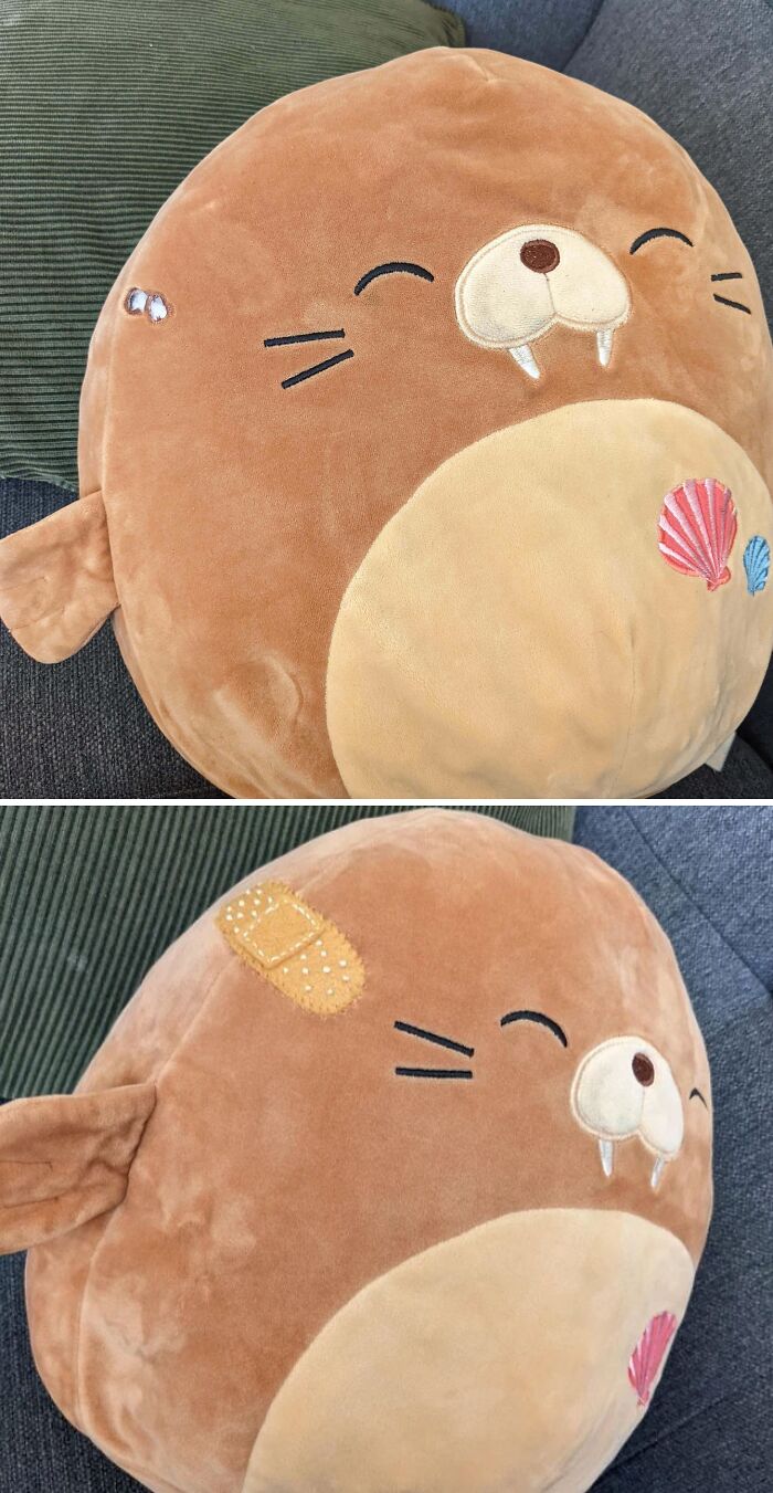 Primeros auxilios para el peluche