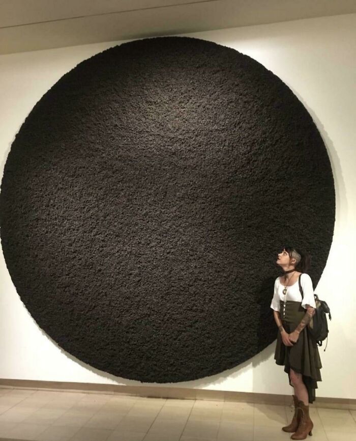 Instalación artística hecha con miles de moscas muertas