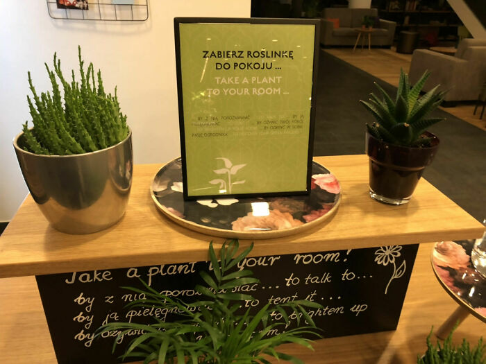 En este hotel te dejan elegir una planta para llevarte a tu habitación