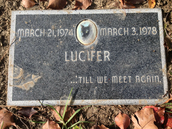 Lucifer... hasta que nos volvamos a encontrar